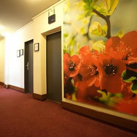 Plaza Am Kurfuerstendamm 3* Berlino